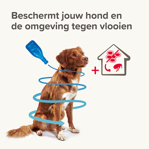Beaphar COMBOtec® Spot-On Hond - Pipetten tegen vlooien, teken en bijtende luizen