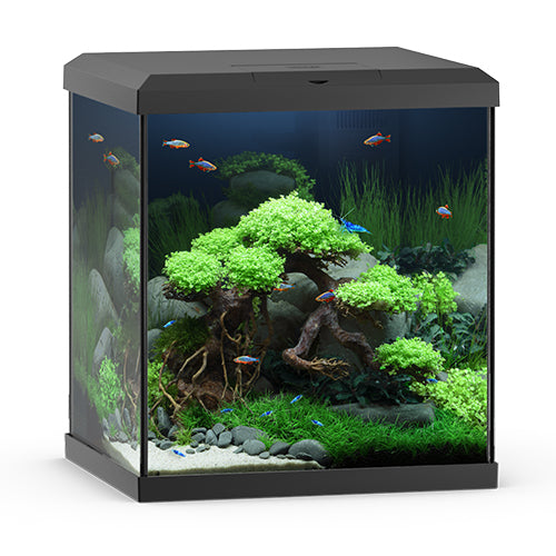 Juwel aquarium vio cube 54 met filter en verlichting - zwart - 54 liter