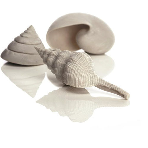 Biorb schelp set - wit