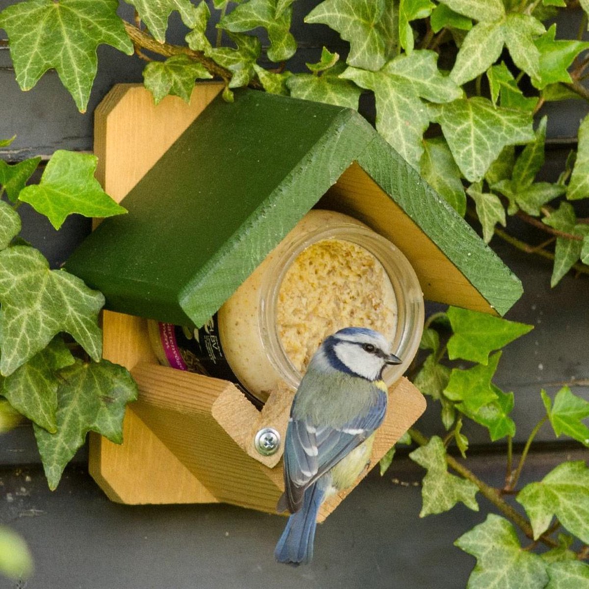 Pindakaaspot vogelvoederhuisje - Groen/Bruin