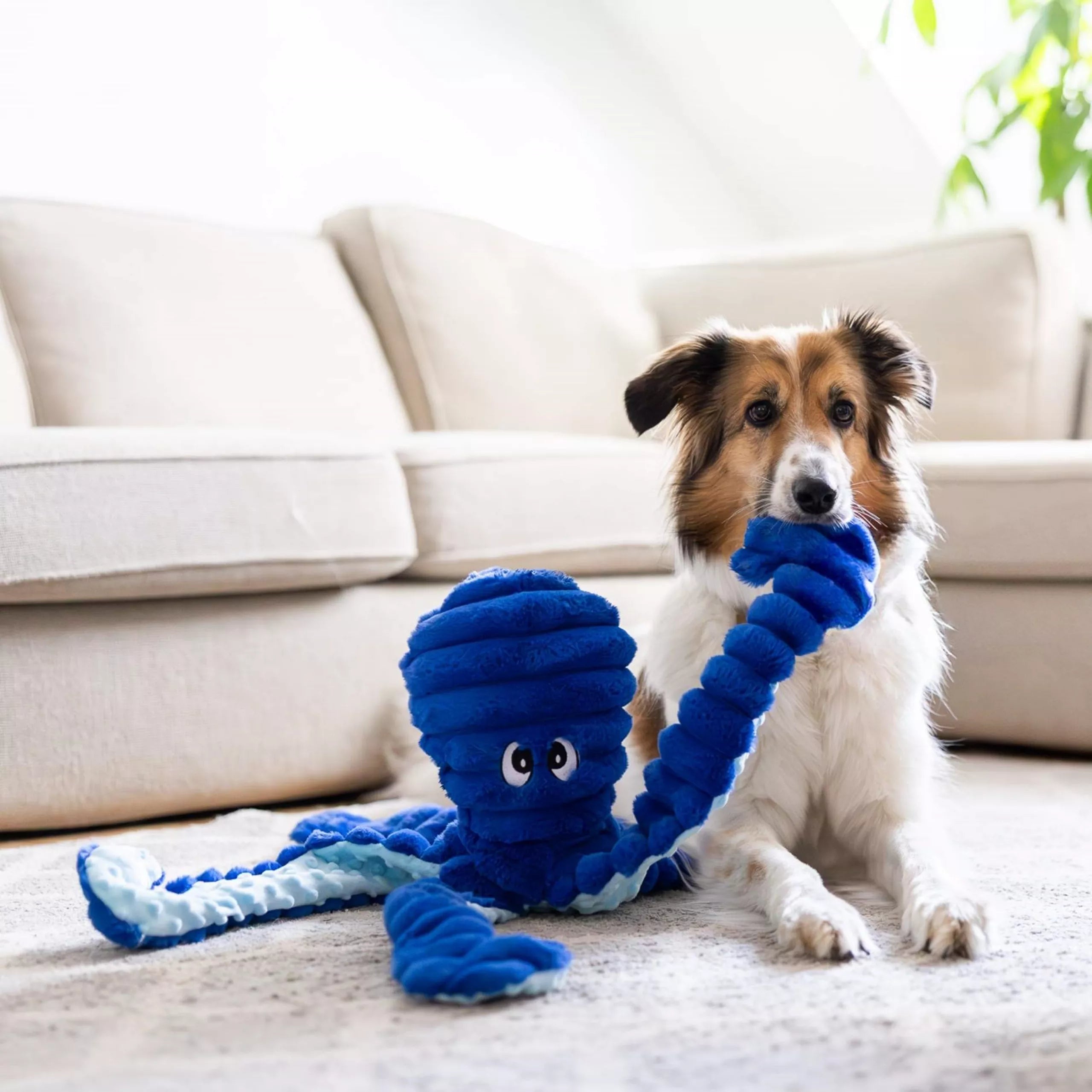 Quapas! Giant Octopus 66cm Navy Blauw