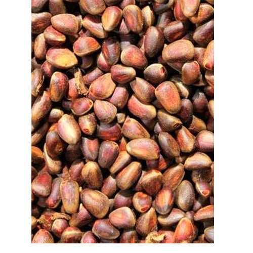 Cedernoten in zak 1,8 - 25 kg