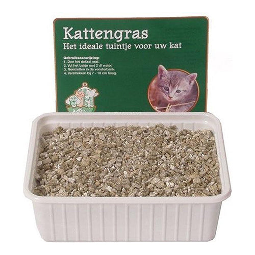 Katzenminze