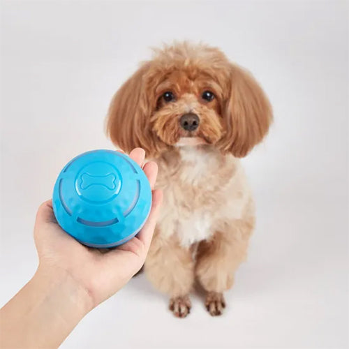 Fofos rolling bal leuke speelbal  met lichtjes Ø 8.5 cm