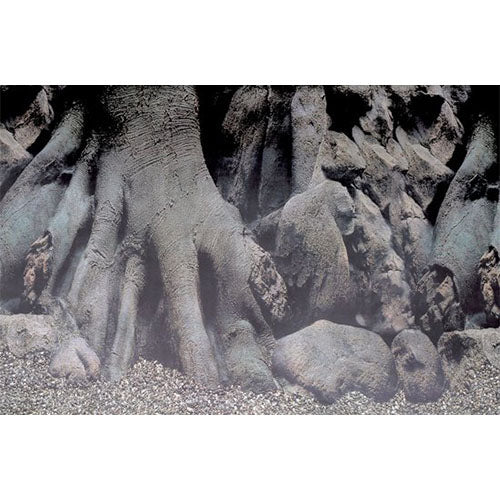 Superfish Deko-Poster d3 100x49 cm