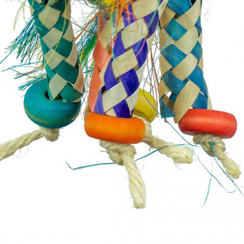 Back Zoo Nature Firecracker - Afmetingen: 40 x 10 cm