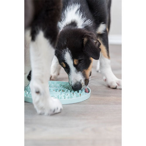 Trixie Junior Anti Schrokbak - Likplaat - Mintgroen - 21X21 cm