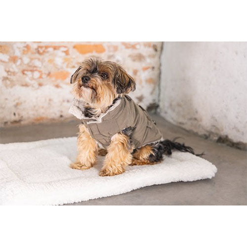 Designed by Lotte Philos Hondenjas Maat XS: ruglengte 20 cm