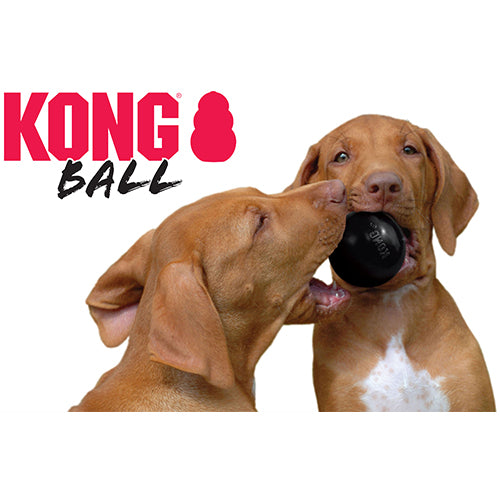 Kong Extreme rubber bal